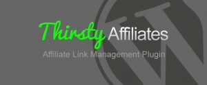 Thirstyaffiliates- Powerful Affiliate Marketing Wordpress Plugin 5 ThirstyAffiliates- Powerful Affiliate Marketing WordPress plugin